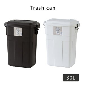 _Xg{bNX 30L S~ ݂΂ gbVJ ݔ i`    AZUMAYA k  AEgbg R&N / gbVJ 30L