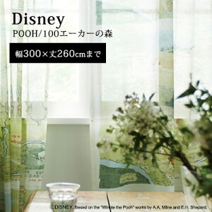 yDisney HOME SerieszJ[e [X I[_[ 1.5{q_ EHbVu fBYj[ {s yDisney zonez AEgbg R&N / yv[ 100G[J[̐XzC[W[I[_[ {C