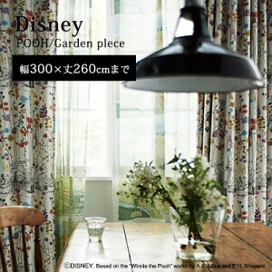 yDisney HOME SerieszJ[e h[v I[_[ 1.5{q_ EHbVu Ռ2 `L fBYj[ {s yDisney zonez AEgbg R&N / yv[ K[fvCXzC