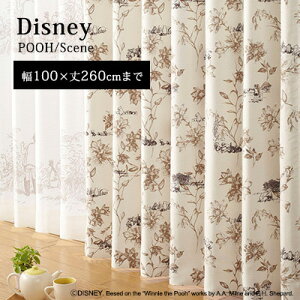 yDisney HOME SerieszJ[e h[v I[_[ 1.5{q_ EHbVu Ռ1 `L fBYj[ {s yDisney zonez AEgbg R&N / yv[ V[zC[W[I[