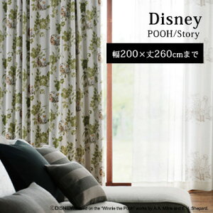 yDisney HOME SerieszJ[e h[v I[_[ 1.5{q_ EHbVu Ռ1 `L fBYj[ {s yDisney zonez AEgbg R&N / yv[ Xg[[zC[W[