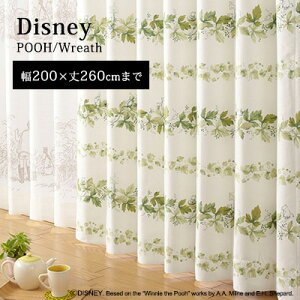 yDisney HOME SerieszJ[e h[v I[_[ 1.5{q_ EHbVu Ռ2 `L fBYj[ {s yDisney zonez AEgbg R&N / yv[ [XzC[W[I[