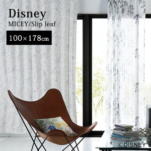�yDisney HOME Series�z�J�[�e�� �h���[�v 1.5�{�q�_ �E�H�b�V���u�� �Ռ�2�� �`��L�� �f�B�Y�j�[ ���{�� �yDisney zone�z �A�E�g���b�g R&N / �y�~�b�L�[ �X���b�v���[�t�z�����T�C�Y�J�[�e���y�i��
