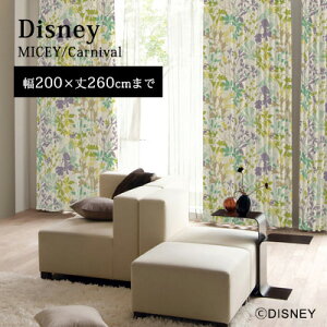 yDisney HOME SerieszJ[e h[v I[_[ 1.5{q_ EHbVu Ռ2 `L fBYj[ {yDisney zonez AEgbg R&N / y~bL[ J[jozC[W[I[_[ J[