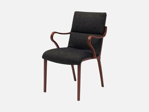 A[`FA ymt@j`A kX^C kBe[Wn {  Ahti D04430A FUJI FURNITURE [Ƌ CeAƋ rO[ ؖڒ ԉo CeA ֗ Vv