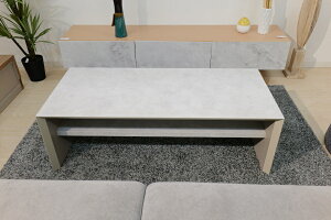 Z^[e[u [e[u [I ؐ 120cm {  38cm Y  It Ζڒ ^ Xg[ O[ [Ƌ CeAƋ rO[ ؖڒ ԉo 