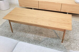 Z^[e[u [e[u ؐ VR I[N 120cm k i` rO  38cm  Ebh ` ۊp ۋr uE [Ƌ CeAƋ rO[ ؖڒ 