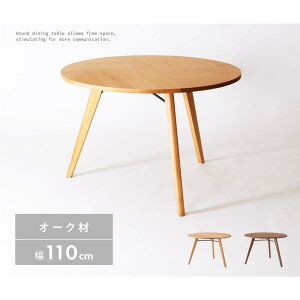 _CjOe[u ؐ VR I[N k i`  a110cm H ی^ ۂ ~` ~ 4l| Ebh X`[ 3{r [Ƌ CeAƋ rO[ ؖڒ ԉ