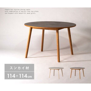 _CjOe[u ؐ VR k  114cm H ~` ی^ ۂ 4l| ^ Ζڒ Xg[ XJC ۋr (110 ~ 120) [Ƌ CeAƋ rO[ ؖ