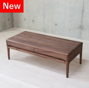 rOe[u EH[ibg C [e[u ؐ Z^[e[u VR k _ a_  o i rO o fUC 110 s50 R[q[e