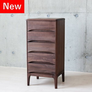 `FXg ؐ EH[ibg VR C k i`  [  ֗ rO`FXg i rt rO o fUC 5i ^X 40 X s35 chest [ 