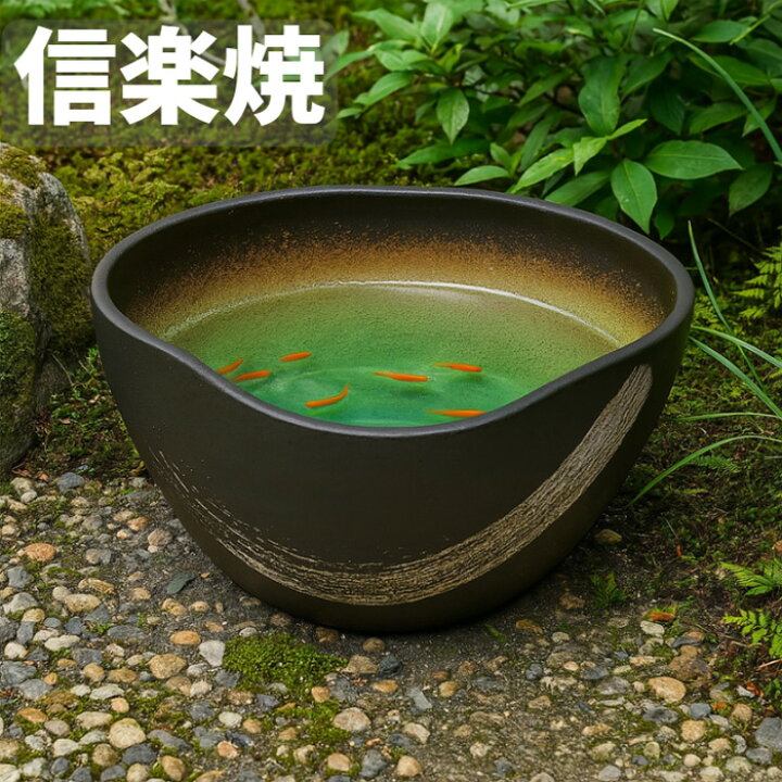 楽天市場】信楽焼き めだか鉢 睡蓮鉢 陶器 メダカ鉢 和風 水鉢 