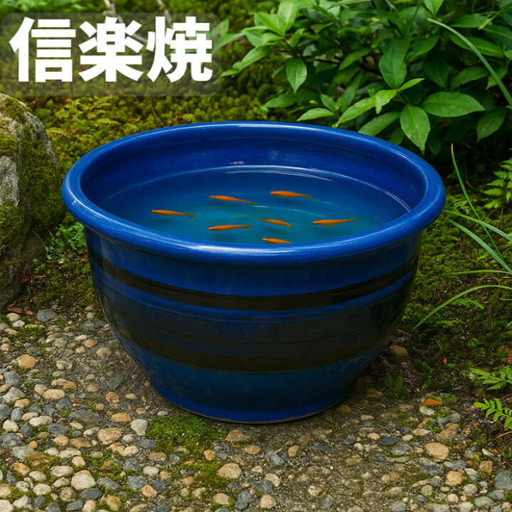 楽天市場】信楽焼 水鉢 陶器 メダカ鉢 おしゃれ めだか鉢 和風 睡蓮鉢 