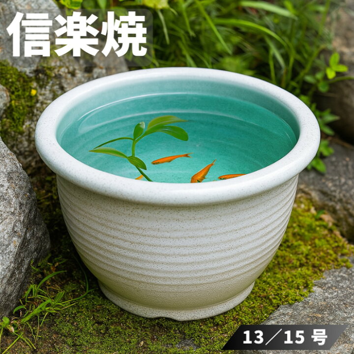 信楽焼メダカ 金魚 睡蓮 鉢 和風 信楽焼 睡蓮鉢 の人気商品一覧 安い商品を