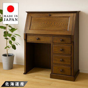 【開梱設置無料】 ライティングデスク アンティーク ライティングビューロー おしゃれ 書斎机 無垢 木製 書斎デスク 完成品 日本製 国産 高級 古民家家具 インテリア えぞ民芸 蝦夷民芸 送
