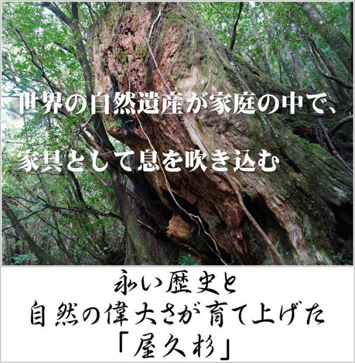 楽天市場】【開梱設置無料】 屋久杉 屏風 和風 衝立 木製 間仕切り 