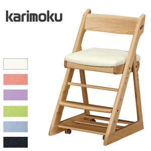 JN fXN`FA  wK֎q ؐ q֎q  LbY`FA U[ LX^[t wj ݑ[N  { Y  ʔ XT0901IE ykarzysmtb-Fz