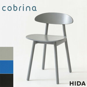 ˎY Rui _CjO`FA  H֎q k H֎q _ ؐ֎q C ؐ`FA i fXN`FA 킢 { Y  cobrina TF221E EGR EBL EBK