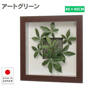 ウォールグリーン 壁掛け フェイクグリーン ミニ おしゃれ グリーンパネル 和モダン リーフパネル 北欧 アートパネル 旅館 ホテル 飲食店 アジアン オフィス 病院 老人ホーム 介護施設 造花