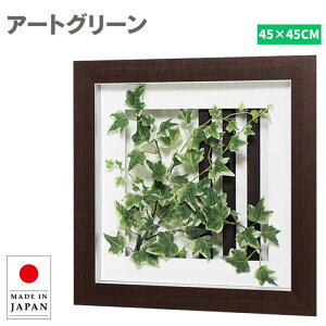 EH[O[ iq tFCNO[ Ǌ| ~j O[pl a_ [tpl  A[gpl k  ze HX AWA ItBX a@ Vlz[ { 