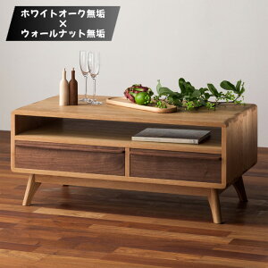 yJݒuz Z^[e[u ot [e[u  rOe[u [t R[q[e[u k ؐ C i EH[ibg I[N GUIDO OCh