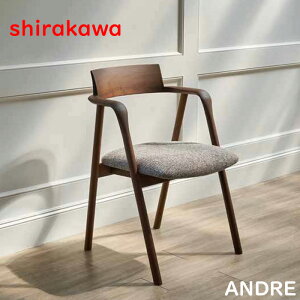 VJ _CjO`FA k A[`FA ؐ It֎q a_ H֎q EH[ibg C H֎q It { Y  ˉƋ Ah ANDRE shirakawa  ʔ ysh