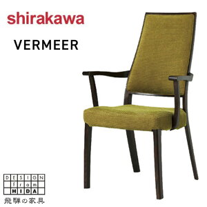 VJ VERMEER tF[ A[`FA Jo[O _CjO`FA It H֎q ؐ C H֎q k _ ؐ֎q wt U[ {v { Y  ˂̉