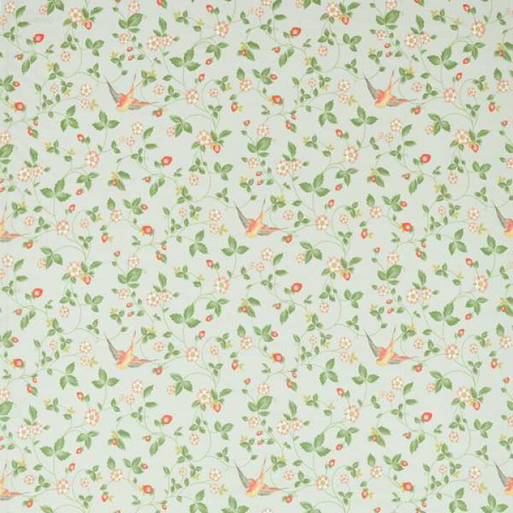 楽天市場】WEDGWOOD WILD STRAWBERRY ウエッジウッド 生地 