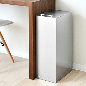 ゴミ箱 30L スライド ステンレス ( ごみ箱 30リットル スリム 幅20.5cm 角型 ふた付き シンプル スタイリッシュ キッチン リビング オフィス 蓋付き スライド蓋 袋止め付き ダストボックス おし