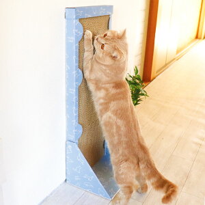 背中のびのび縦型爪とぎ 猫 ハイタイプ ( 爪とぎ 爪とぎボード 爪研ぎ ねこ 猫用 ダンボール ストレス解消 遊び おもちゃ つめとぎ 爪磨き 段ボール 縦型 スタンドタイプ 猫用品 ペット用品