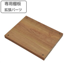 Rectax専用 拡張パーツ 棚用横板 組み合わせ収納 （ 送料無料 パーツ 専用パーツ オプションパーツ レクタックス専用 ） 【39ショップ】