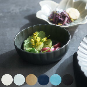 {E 14cm ։ԎM ԎM ԃV[Y mH  { F3Zbg i H@Ή dqWΉ  T_{E  ։ Ԍ^ [M ϕ fU[g{E M   