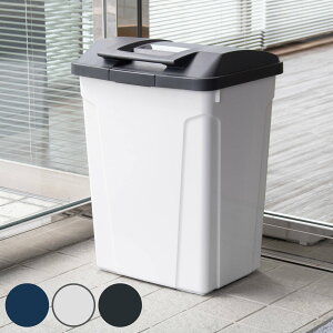 ゴミ箱 70L ハンドル付分別ペール ( ごみ箱 70リットル ふた付き 屋外 ロック機能付き 分別 シンプル 大容量 大きい 角型 縦型 ブルー ライトグレー )【39ショップ】