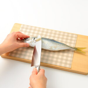 ܂ȔV[g M[ 50 leye CG i 29×20cm ܂ȔJo[ ܂Ȕ ĝăV[g  ܂ȔpV[g V[g^Cv ܂ȔpJo[ Lb`֗ObY Lb`p