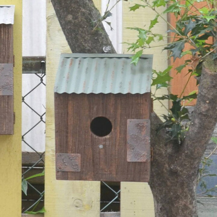 楽天市場】鳥小屋 小物収納 ガーデニング用品 鳥かご メタルルーフ 