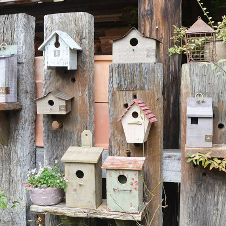 楽天市場】鳥小屋 巣箱 シャビーバードハウス G （ 玄関 バードハウス 