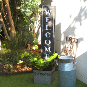 v^[ A EFJ{[h EFJX^hv^[ i  u^ Ǌ|  Aؔ Welcome t[X^h ԑ t[ |bg AeB[N v^[X^