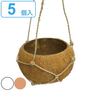 v^[ nMORRv^[ 5Zbg i Aؔ nMO|bg vg|bg ݂艺 RRibc ݂邷 VRf ꌊ  |bg A ϗtA | Jo[ A