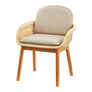 `FA ʍ47.5cm  ^ ؐ ֎q NbV Ђ| CX i `FA[ \t@ 1l| _CjO`FA  ^`FA t@ubN ^Ƌ H֎q I| _CjO`