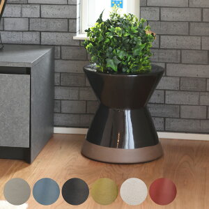 Xc[  31cm ی` ~^ Xc[ | ֎q t[x[X i  `FA ~jXc[ CX ~je[u ~j`FA ԑ     O rO TCh