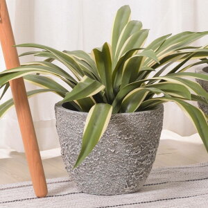 プランター グリーンベース 直径25×高さ20cm ( 植木鉢 プラントポット 植物用ポット 鉢 花器 鉢カバー ポット 丸 8号鉢 植木鉢カバー 鉢入れ 植物 花 観葉植物 植え替え 寄せ植え 株分け 園芸