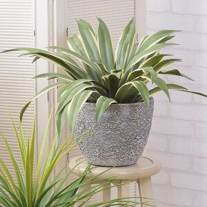 プランター グリーンベース 直径31×高さ25cm ( 植木鉢 プラントポット 植物用ポット 鉢 花器 鉢カバー ポット 丸 10号鉢 植木鉢カバー 鉢入れ 植物 花 観葉植物 植え替え 寄せ植え 株分け 園芸