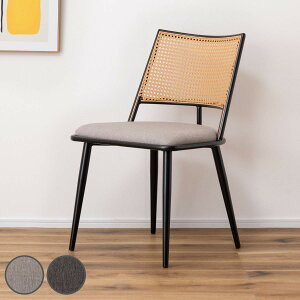 _CjO`FA ^ N^O ʍ46cm i i ֎q _CjO `FA   ٕ҂ lH^ ` `FA[ CX  H֎q A[X`FA rO`FA 