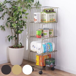 X^bLOS 26.5cm 4i XgbJ[ LX^[t i C[oXPbg S bN oXPbg [ ߗގ[ G  ߗ [  X^bLO {bNX li 