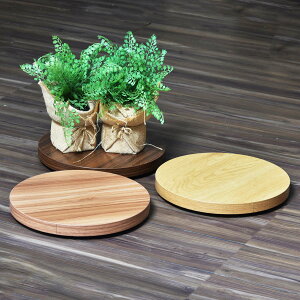 v^[X^h v^[ Eh v^[x[X i a30cm v^[ u 󂯃v[g ԑ LX^[t ] u   K[fbN ~` ړ 360x