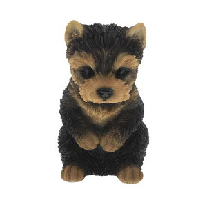 K[fI[ig  [NV[ [NV[eA i K[fjO I[ig fBXvC  u K[f}XRbg    GgX  K[f G C