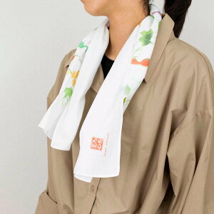 ^I K[[ ʂ 35×90cm 100 i Ăʂ @  100 K[[^I 35×90 { tFCX^I K[[ʂ ɂ₳ CeA  H@ `}bg 