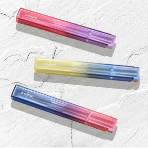 P[X VGv  & P[X i Cielpre Zbg  P[X ɂ { ͂ ٓ ٓ XCh ܂Ȃ ^ ٓp gїp NA  킢 