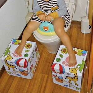 gC ݑ ӂ΂BOX q gCg[jO c _{[ i Xebv ӂݑ gCg 񒣂 qǂ LbY {bNX 24cm H  qI j y39Vbvz
