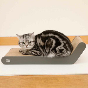 U[܂Ƃ TOGITOGI G hachi i L ˂ lR ܂Ƃ i{[ U[ Lpi ܌ ߂Ƃ _{[ ܖ ܂݂   Ƃ ݂ j y39Vbvz